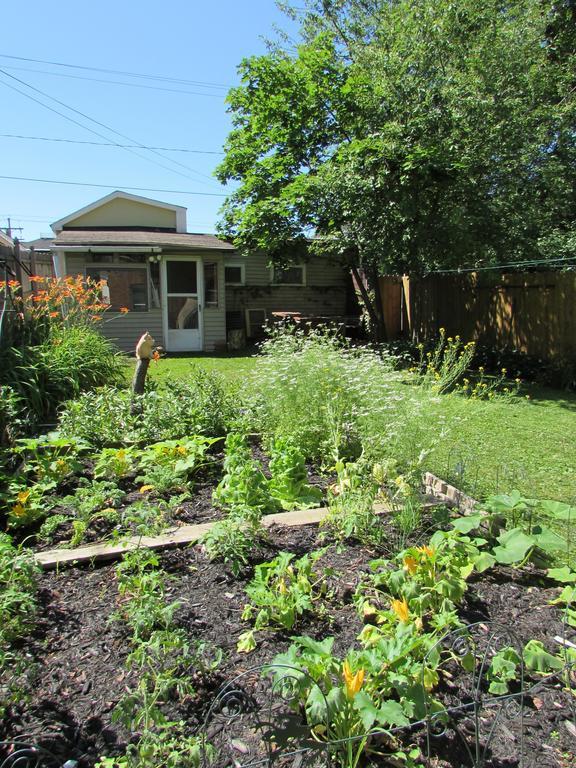 Wanderfalls Guesthouse & Hostel Niagara Falls Exterior photo